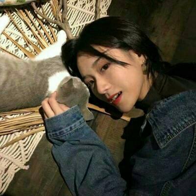 男兵女将手游九游版下载