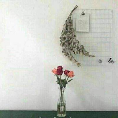 豪侠挂机变态版下载